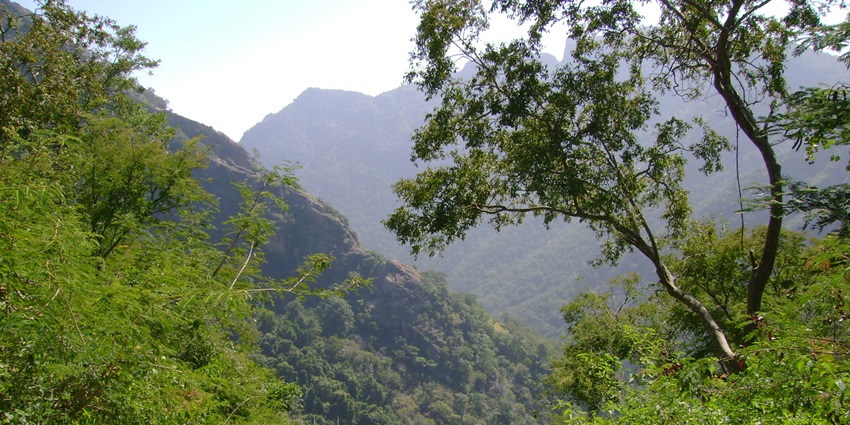 A breathtaking view of the Kolli Hills featuring majestic mountains and lush greenery.