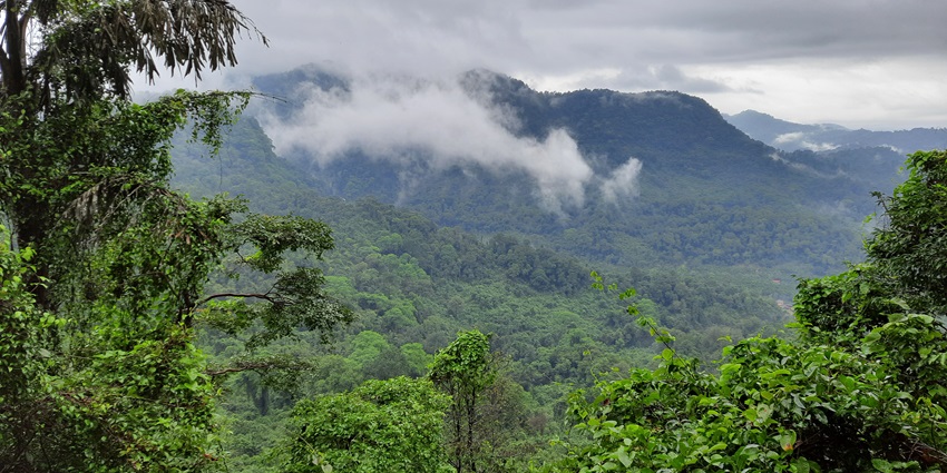 Mookambika Wildlife Sanctuary, a scenic place in Kollur for every traveller to explore.
