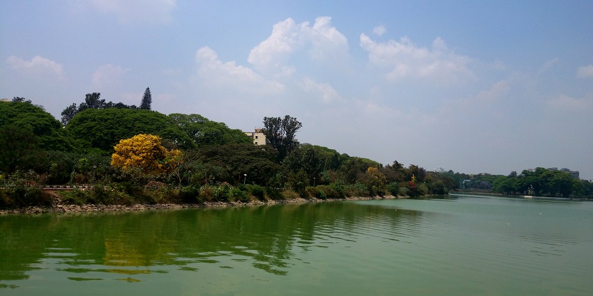 Konanahalli Lake, surrounded by lush greenery, one of the best places to visit in Mandya.