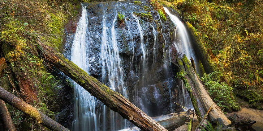 The calm waterfall tumbles over verdant surroundings for every travellers.