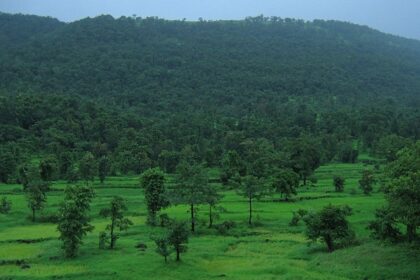 Konkan Coast features historic Konkan forts, stunning views, and maritime heritage.