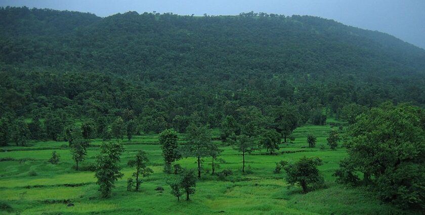 Konkan Coast features historic Konkan forts, stunning views, and maritime heritage.