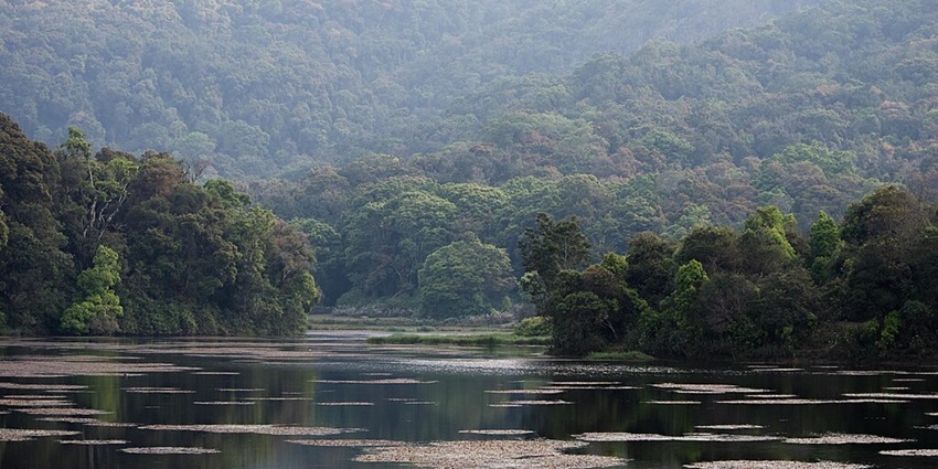 Kookal Lake, surrounded by densely covered hills in Kodaikanal, India.