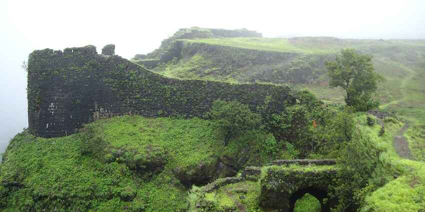 A picture of Korigad Fort, showcasing scenic greenery, one of the best Maharashtra trek forts.