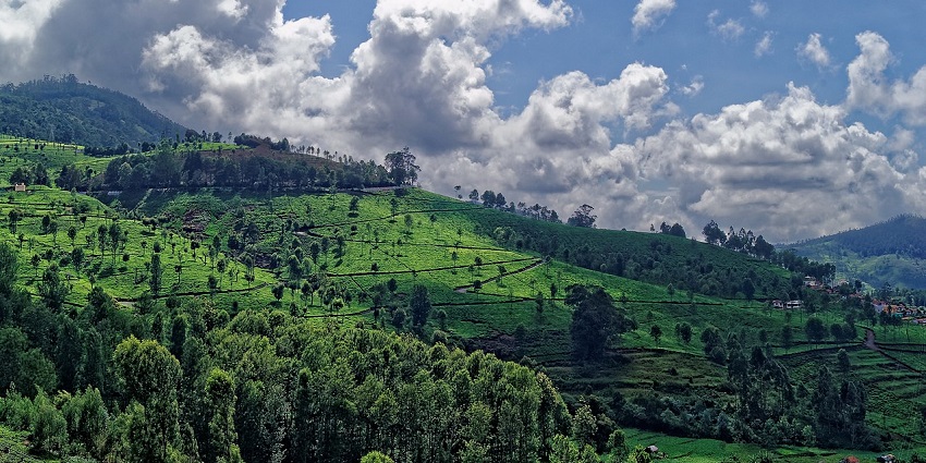 A view of Kotagiri town with houses across the hills, an offbeat tourist attraction in Ooty