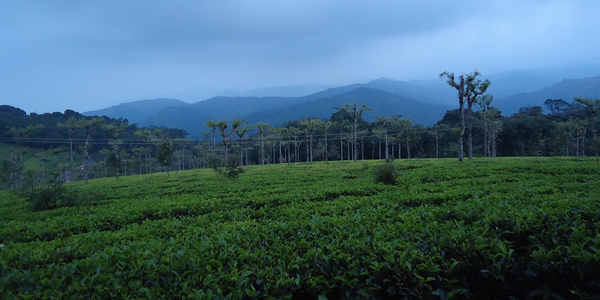 Enjoyable trek with beautiful landscapes and serene nature trails.