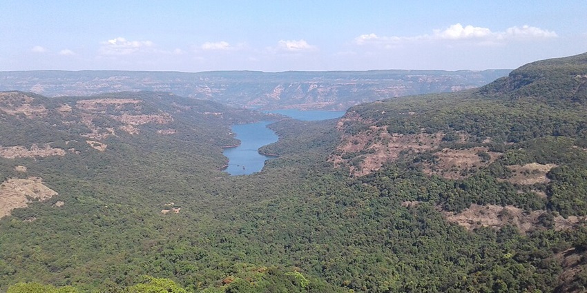 Beautiful view of the Koyna River, enveloped by vibrant greenery and peaceful nature.