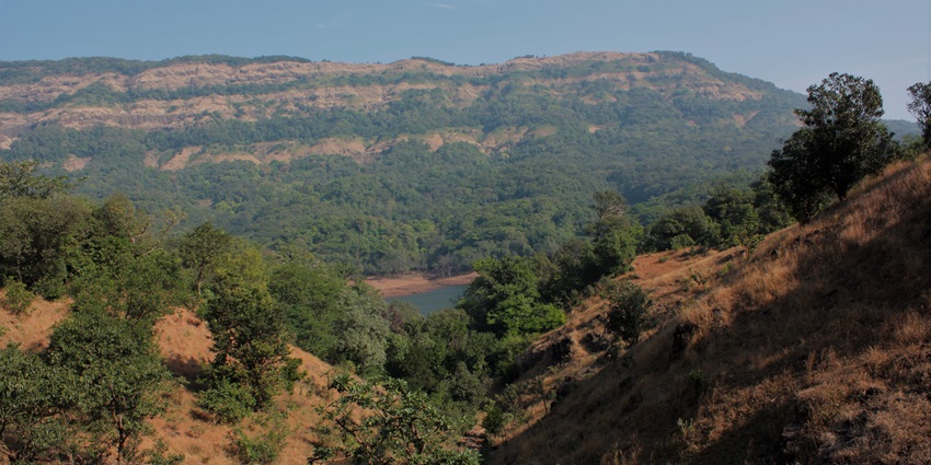 A serene view of Koyna River in Maharashtra, surrounded by green hills under a cloudy sky.