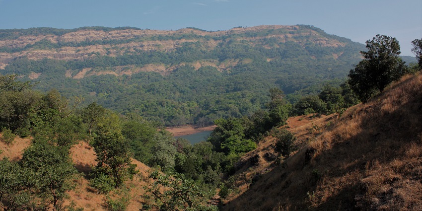 A view of Koyna Wildlife Sanctuary showcasing hills and a river in Maharashtra.