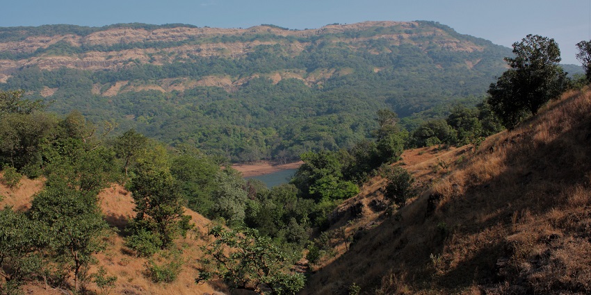 Landscape of Koyna Wildlife Sanctuary, a famous place near Pratapgad Fort to explore!