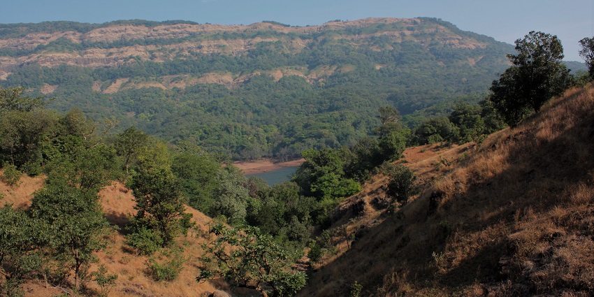 A view of Koyna Dam, a popular place near Pargad Fort in Maharashtra
