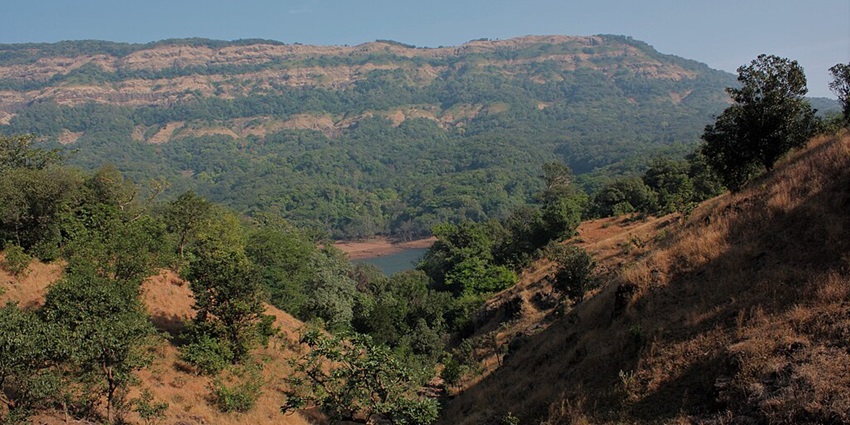 Koyna landscape near Vasota Fort in Maharashtra, showcasing dense greenery and hills.