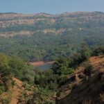 Scenic view of Koyna Wildlife Sanctuary showcasing greenery and diverse wildlife