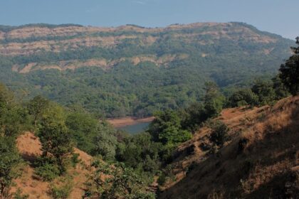 Scenic view of Koyna Wildlife Sanctuary showcasing greenery and diverse wildlife