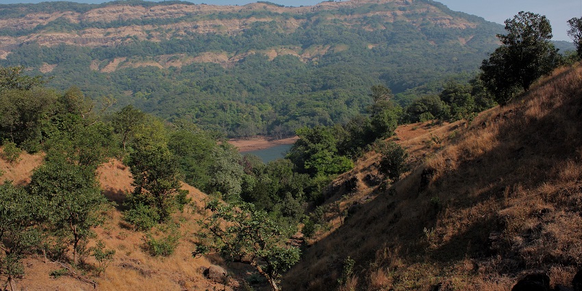 Breathtaking landscape view showcasing the natural beauty of Koyna Wildlife Sanctuary.