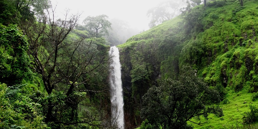 An image view of Koynanagar which offers scenic views of nature midst lush greenery.