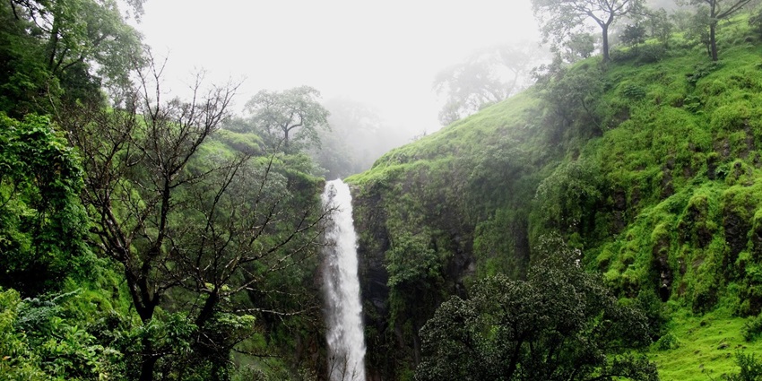 Koynanagar region is known for its scenic beauty and tranquil setting among nature lovers.