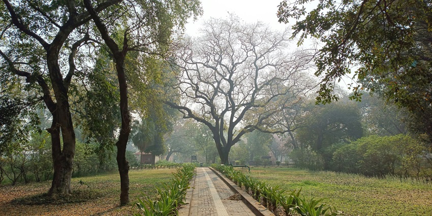 Krishna Valley Wine Park is one of the most unique places to visit in Sangli