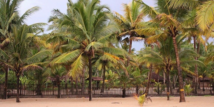 Marari Beach is a famous beach known for its relaxing atmosphere and gentle waves.