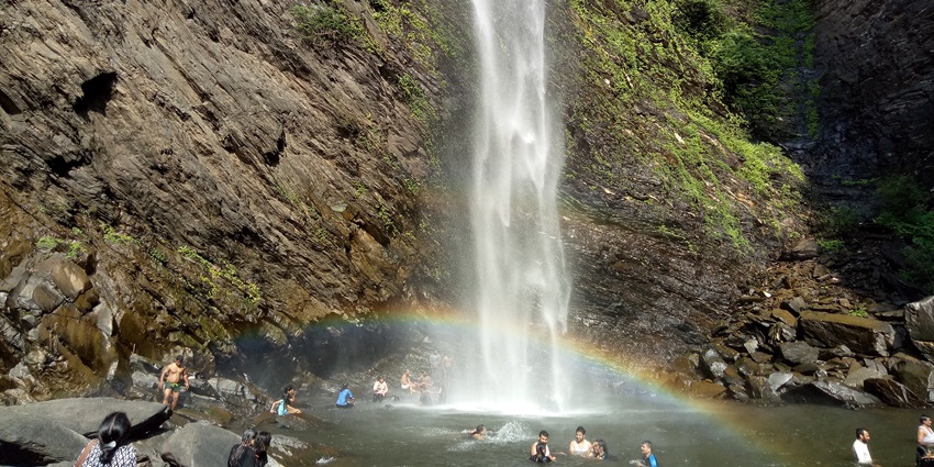 Water cascades down Kudlu Theertha Falls, surrounded by pristine natural greenery.
