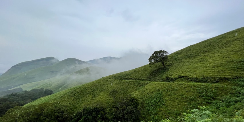 Kudremukh is a breathtaking mountain range, national park, and trekking paradise.