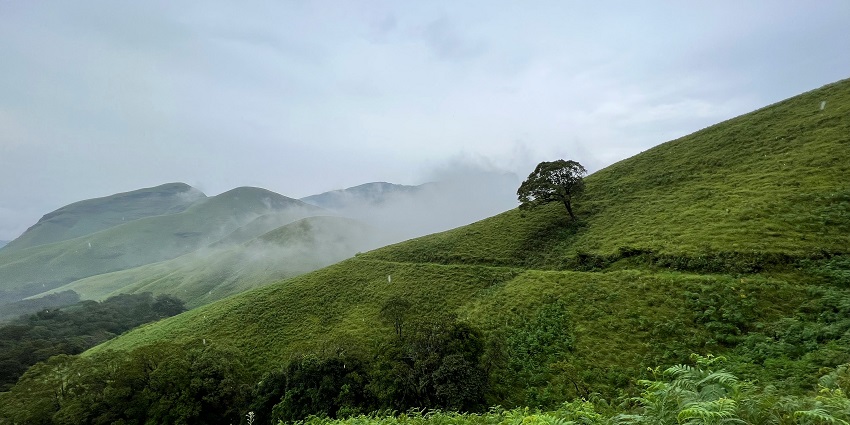 Explore the lush green landscapes and valleys at Kudremukh, Karnataka, India.