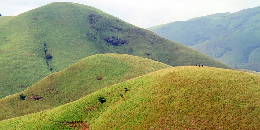 An aerial view of the beautiful plateaus in Kudremukh covered under a blanket of lush greenery