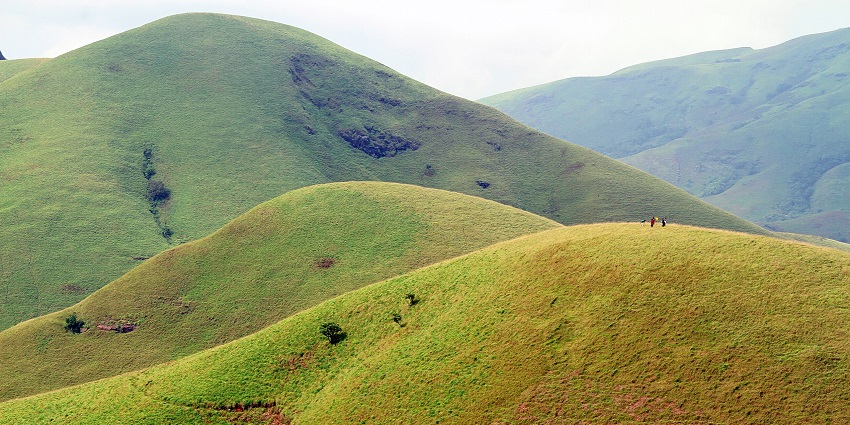 Kudremukh rolling green hills stretch across the landscape under a soft, overcast sky