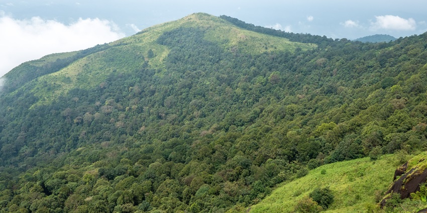 Kudremukh is among the famous places to visit in Kalasa, a UNESCO site with lush forests, wildlife, and trekking
