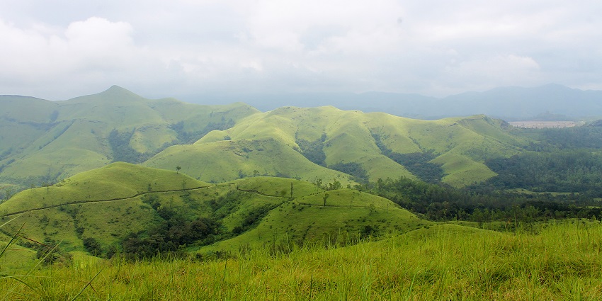 One of the places to visit in Kudremukh is the National Park is popular for its scenic beauty.