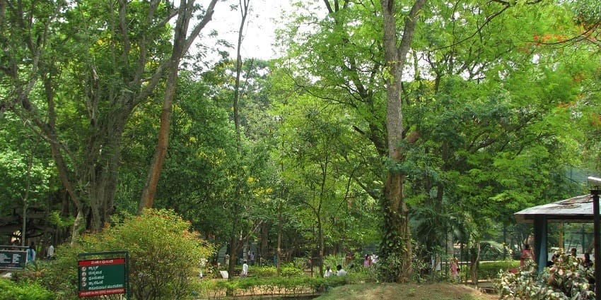 Lush landscapes inside the Kudremukh national park, offering a serene escape