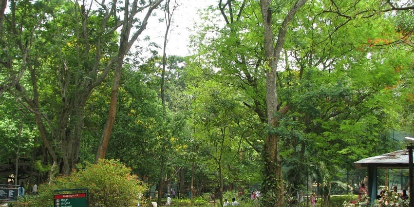Lush landscape of Kudremukh National Park, an ideal spot for nature and wildlife lovers