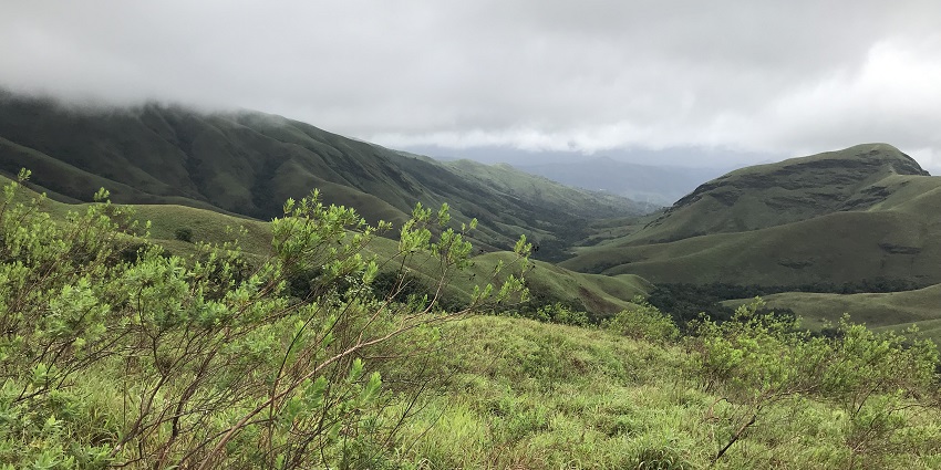 A panoramic shot of Kudremukh National Park near Belur for every traveller to explore.