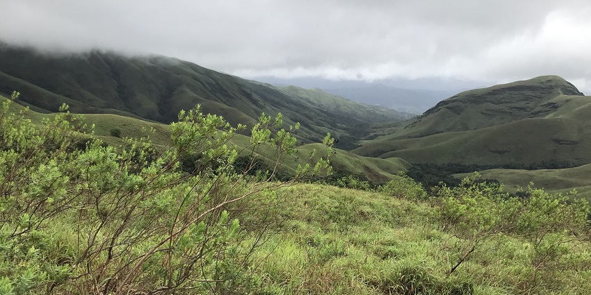 An image of Kudremukh National Park is among the best places to visit near Shimoga.