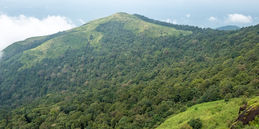 The Kudremukh National Park is known for its scenic beauty and diverse wildlife.