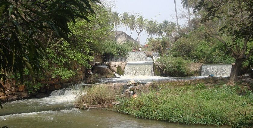 A serene view of the Kumbakarai Waterfalls, surrounded by lush greenery in Tamil Nadu