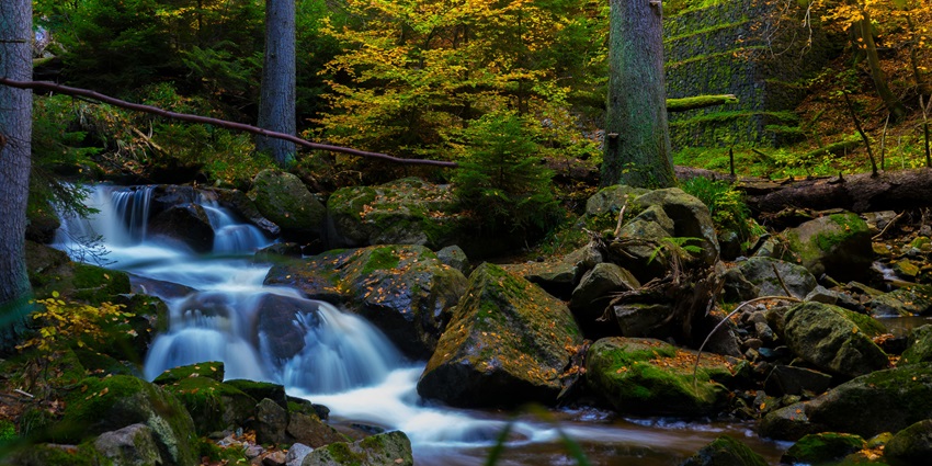A time-lapse photo of a waterfall surrounded by lush green trees in Kodaikanal