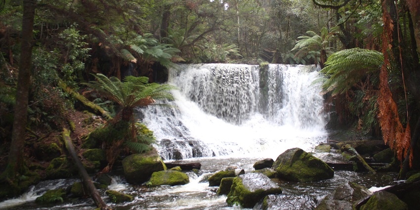 The cascading Kune Falls is surrounded by lush greenery and offers tranquillity.