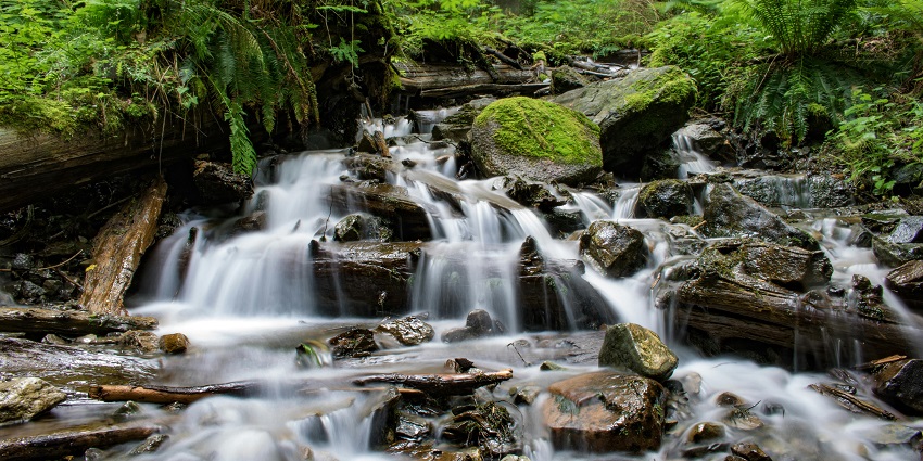 A time-lapse of the Kune Falls flowing through lush greenery, showcasing the best waterfall near Khandi Waterfall.