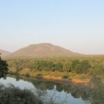 A picture of the Kuno River in Madhya Pradesh located inside the Kuno National Park