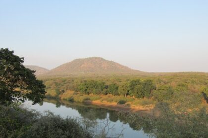 A picture of the Kuno River in Madhya Pradesh located inside the Kuno National Park