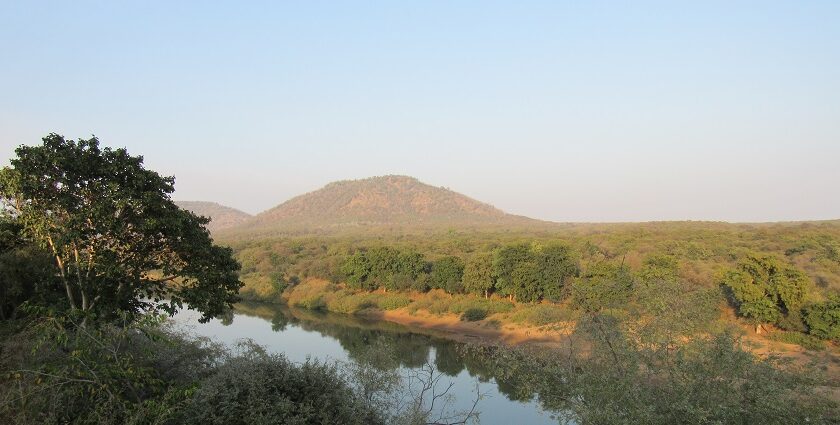 A picture of the Kuno River in Madhya Pradesh located inside the Kuno National Park