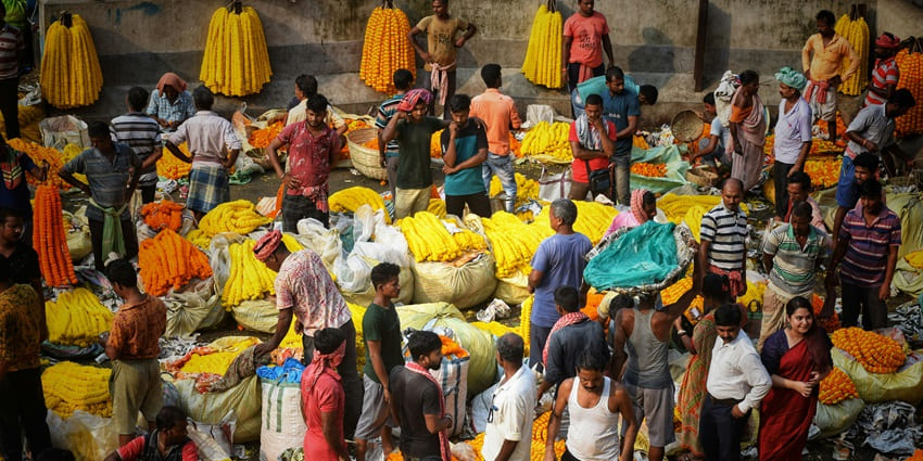 Busy flower market scene with vibrant marigold garlands and people trading flowers.