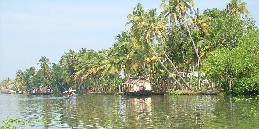 Kuttanad, known as the ‘Rice Bowl Of India’ is a popular tourist attraction among visitors.