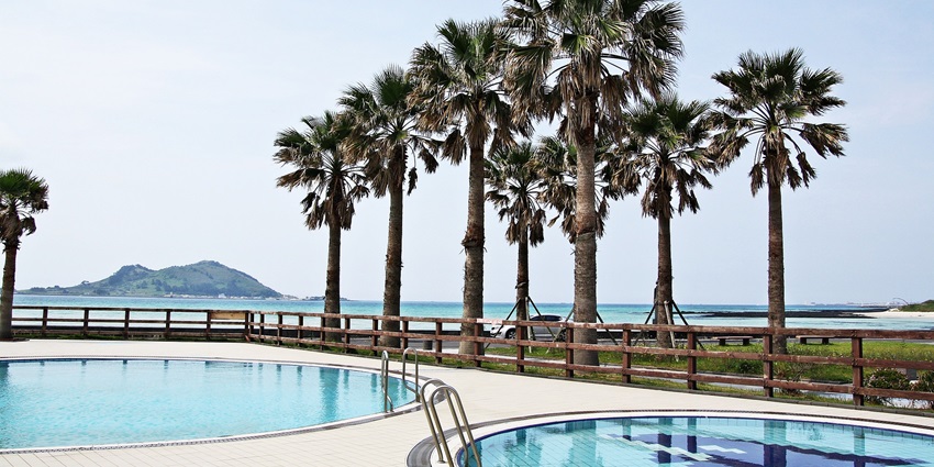 L'Aqua on Serenity Beach, a relaxing party place in Pondicherry.