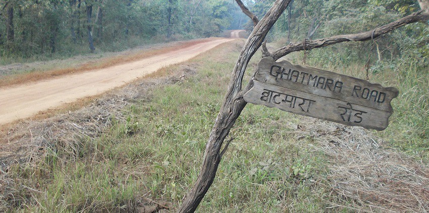 An image of the path leading to the wildlife sanctuary in the Gondia district, Maharashtra.