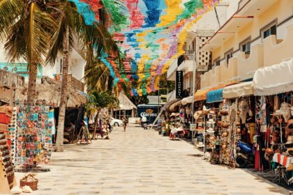 Shops selling marine-themed souvenirs like shell decorations and wooden artefacts.