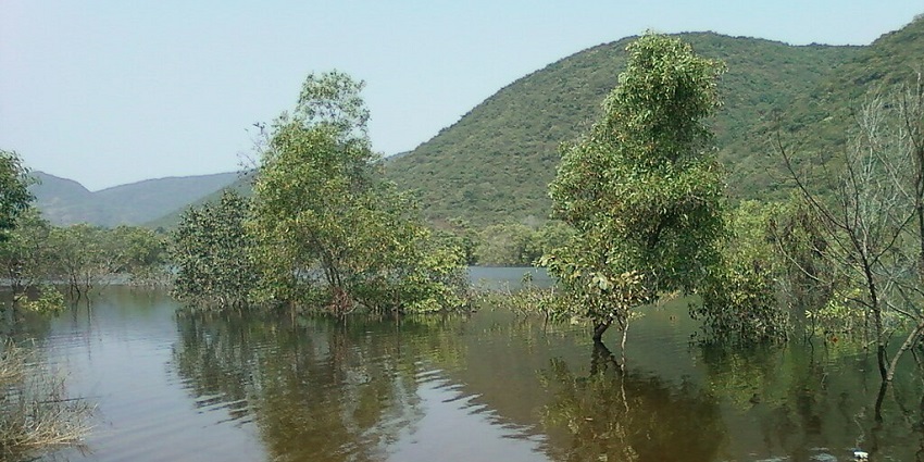 View of the Lakshmana Theertham pond surrounded by greenery, one of the picnic spots near Ramanathaswamy Temple.