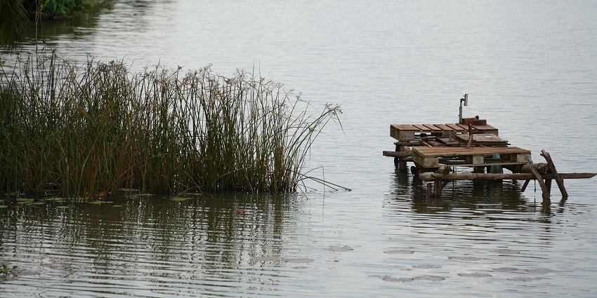 A spiritual pond surrounded by green trees, one of the top tourist destinations near Rameswaram temple.