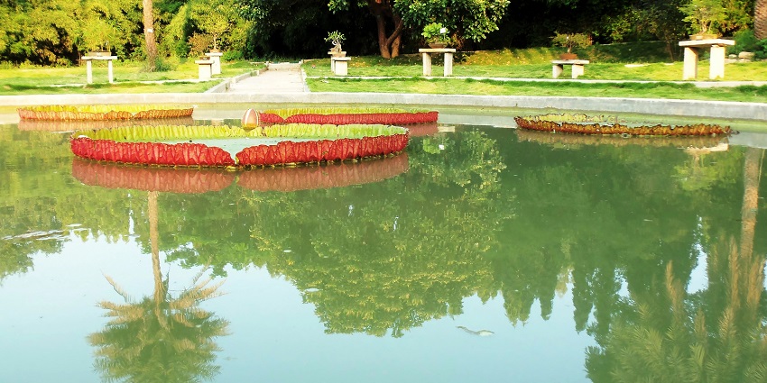 Lalbagh is an expansive botanical garden with exotic plants and serene lakes around it.